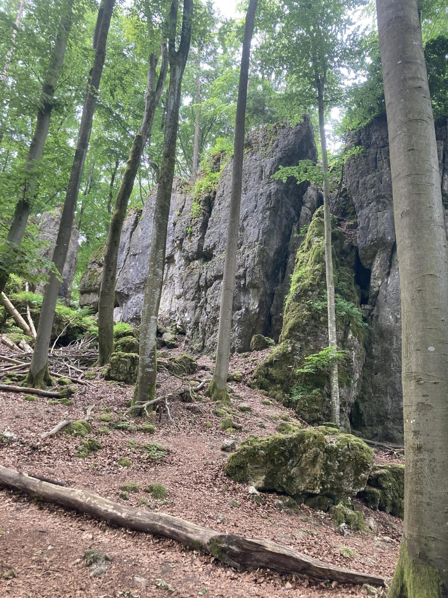 Brunnerhof Urlaub Auf Dem Land Διαμέρισμα Hartenstein  Εξωτερικό φωτογραφία